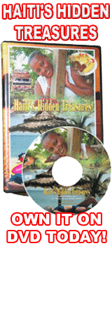 dvd.haiti.buy.it.now