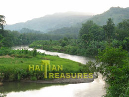 chambellan_wonder.nature